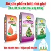 Bộ phân bón tưới nhỏ giọt 2 Phong – Tan nhanh hơn, hiệu quả nhanh hơn