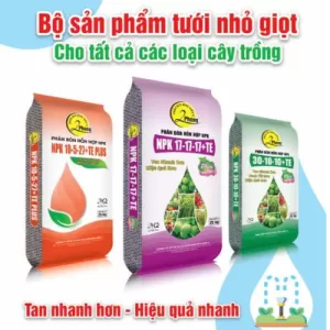Bộ phân bón tưới nhỏ giọt 2 Phong – Tan nhanh hơn, hiệu quả nhanh hơn