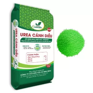 ure-canh-dieu-huu-co-ninh-binh
