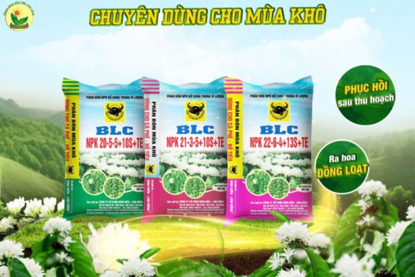Phân bón cho cây cà phê