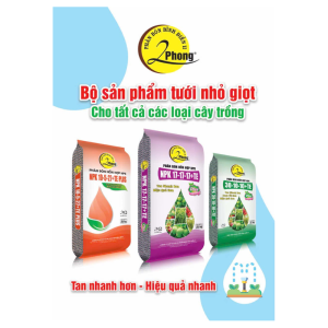 Bộ tưới nhỏ giọt