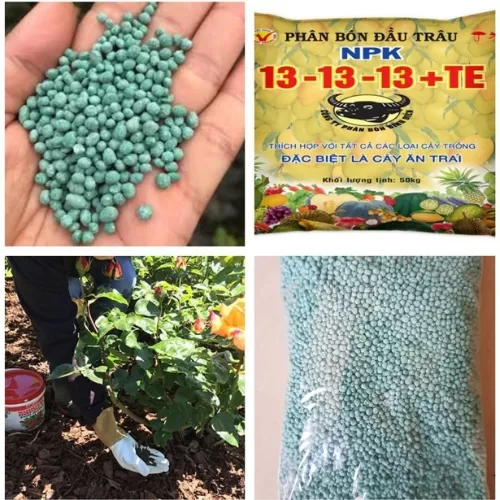 Phân Bón Đầu Trâu NB 13-13-13+TE (50kg) – Dinh Dưỡng Cân Đối Cho Hoa & Cây Ăn Quả - Hình ảnh 3