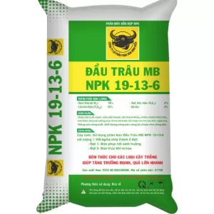 Phân bón NPK Đầu Trâu MB 19-13-6 Tăng Trưởng Mạnh, Quả Lớn Nhanh