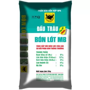phân bón đầu trâu bón lót mb