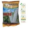 Giống ngô nếp lai F1 HN88 – Bắp to, hạt đều, năng suất cao