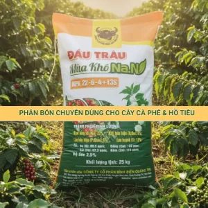 Phân bón Đầu Trâu Mùa Khô Na.N NPK 22-6-4+13S chuyên dùng cho cà phê và hồ tiêu mùa khô