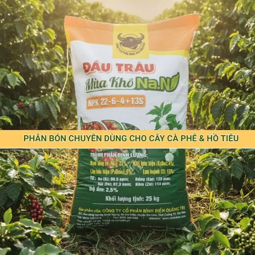 Phân bón Đầu Trâu Mùa Khô Na.N NPK 22-6-4+13S chuyên dùng cho cà phê và hồ tiêu mùa khô