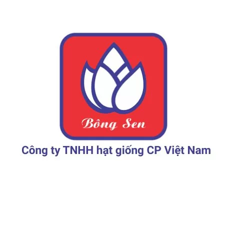 Hạt giống chất lượng