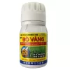 CORNWEED 180D – BÒ VÀNG