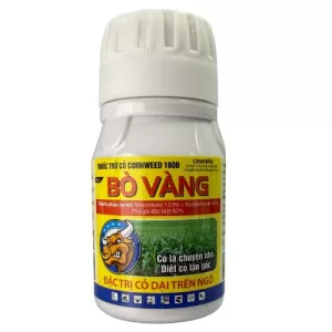 CORNWEED 180D – BÒ VÀNG
