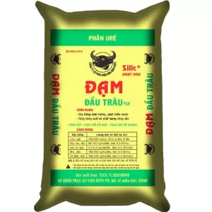 Đạm Đầu Trâu NB