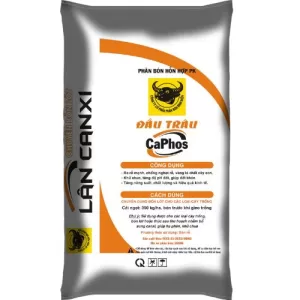 Đầu Trâu Caphos