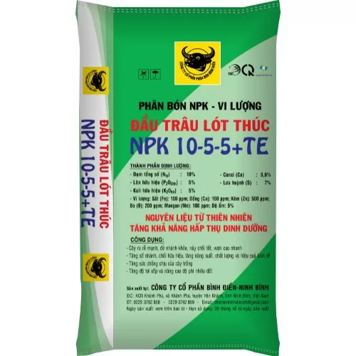 Đầu Trâu lót thúc NPK 10-5-5+TE (2)