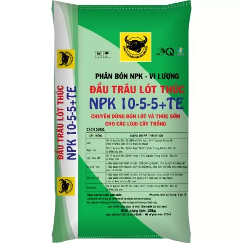 Đầu Trâu lót thúc NPK 10-5-5+TE (2)
