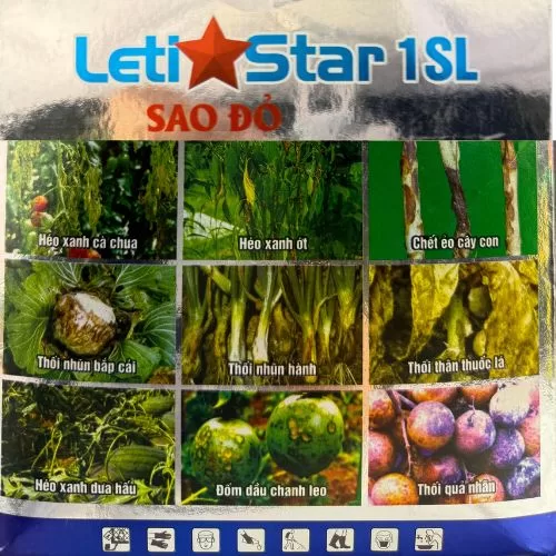 Leti Star 1SL -Sao Đỏ - Hình ảnh 4
