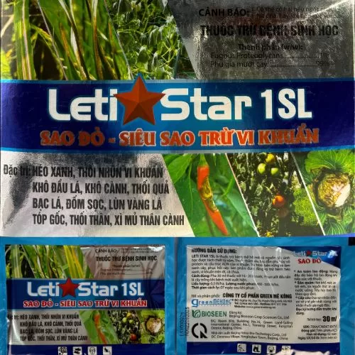 Leti Star 1SL -Sao Đỏ - Hình ảnh 3