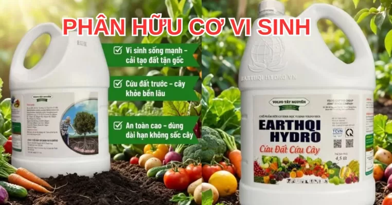 thứ tự bón phân cho cây mới trồng