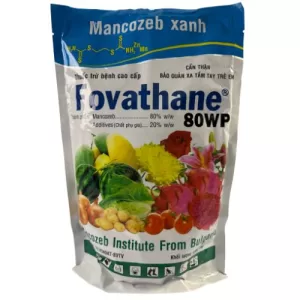 Thuốc Trừ Bệnh Mancozeb