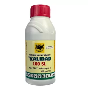 VALIDAD 100SL 450ML – Thuốc Sinh Học Trừ Bệnh Cây Trồng Hiệu Quả Cao
