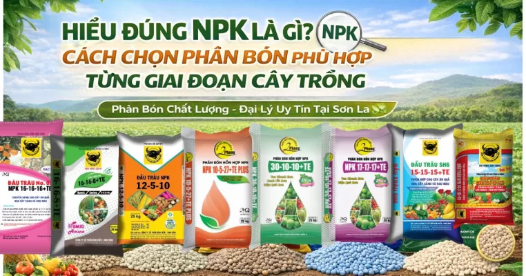 cách chọn phân bón cho cây trồng