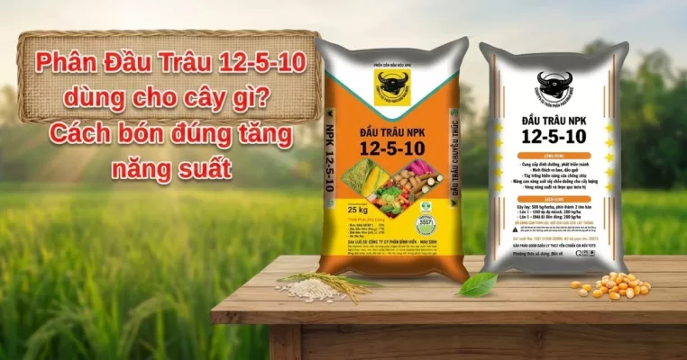phan-dau-trau-12-5-10-dung-cho-cay-gi